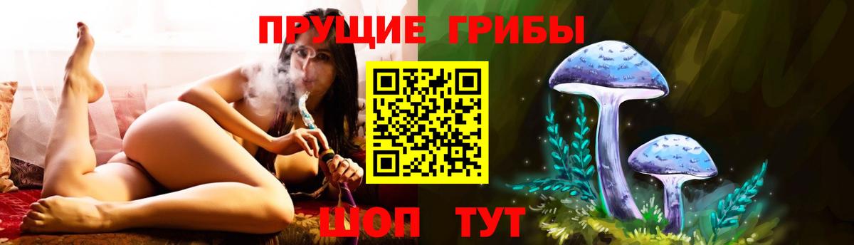 Златоуст  Галлюциногенные грибы MAGIC MUSHROOMS  Галлюциногенные грибы MAGIC MUSHROOMS  Вход с VPN 